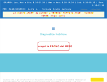 Tablet Screenshot of nobiliore.it